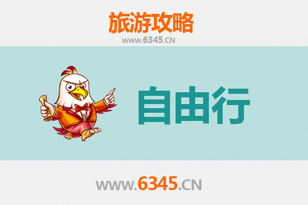济宁曲阜自由行攻略：圣城文化深度游指南