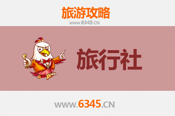 济宁曲阜旅行社精选推荐：畅游圣城，体验儒家文化之旅