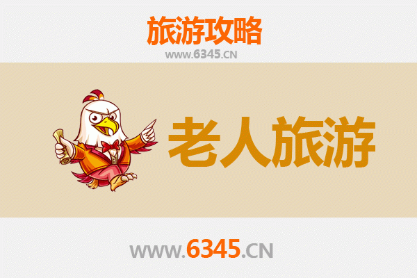 曲阜银发之旅：慢游圣城，感悟儒家文化