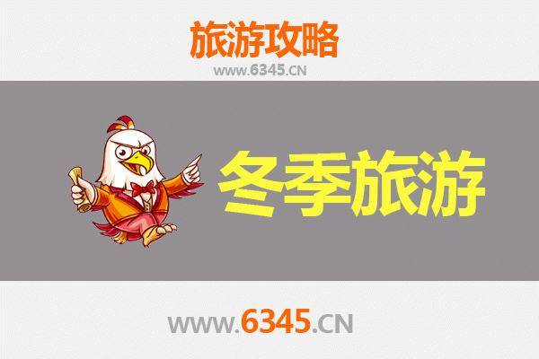 济宁曲阜冬季旅游攻略：圣城古韵，冬日静好之旅